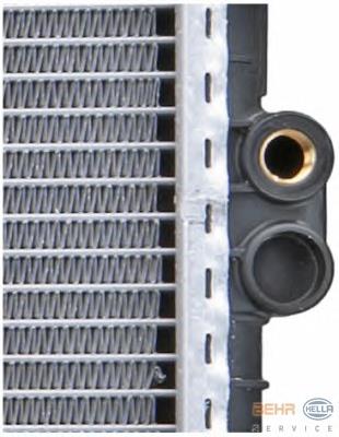 1702969 BMW Radiador de esfriamento de motor