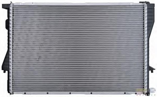 Radiador de esfriamento de motor BMW 1702969