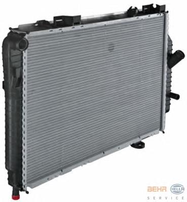 Compre A2025008103 Mercedes Radiador de esfriamento de motor