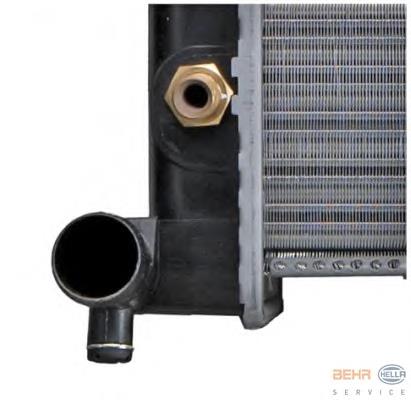 Compre 17111176899 BMW Radiador de esfriamento de motor