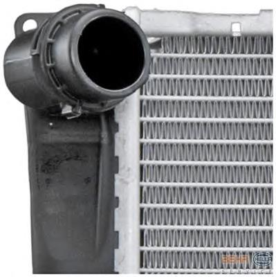 Radiador de esfriamento de motor BMW 17117521046