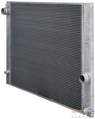 Radiador de esfriamento de motor BMW 17117534914