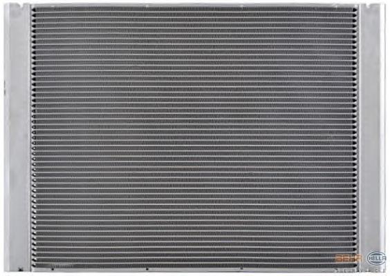 17117519211 BMW Radiador de esfriamento de motor
