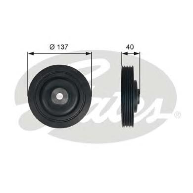 10613 3RG Polia de cambota