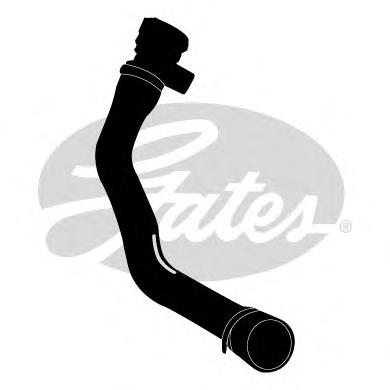 Mangueira (cano derivado) inferior do radiador de esfriamento Gates 3938 preço, a partir de 31,94 USD