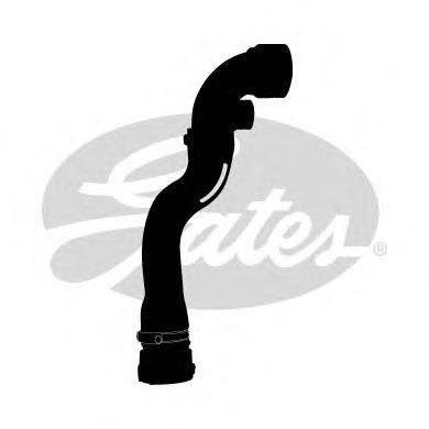 Compre 11531436406 BMW Mangueira (cano derivado) do radiador de esfriamento superior