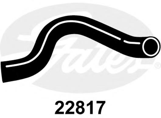 22817 Gates Mangueira (cano derivado) do radiador de esfriamento superior