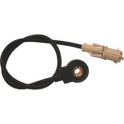 Compre 550305A ERA Sensor de detonação