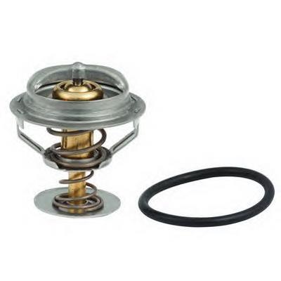Compre 2S6G8570AB Ford Termostato