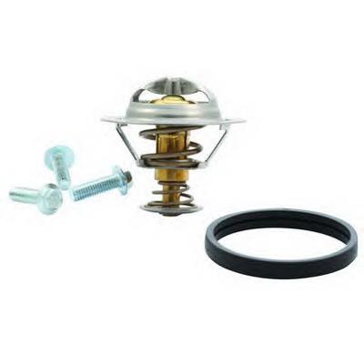 Compre 31368377 Volvo Termostato