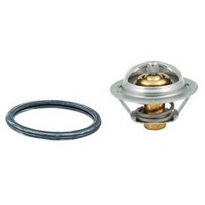 Termostato Nissan/Infiniti 212308P300
