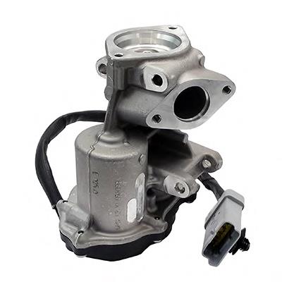 Válvula EGR de recirculação dos gases Land Rover LR009702