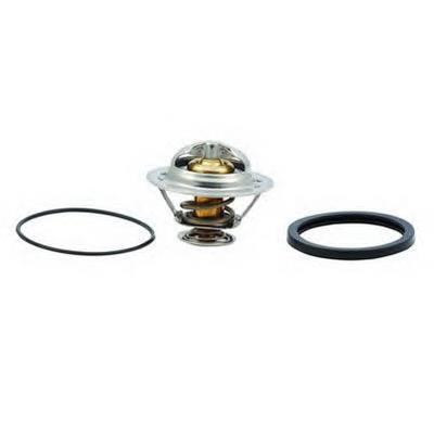 Termostato 4292856 Fiat/Alfa/Lancia