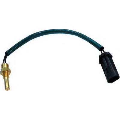 Sensor de temperatura do fluido de esfriamento 33555 FAE
