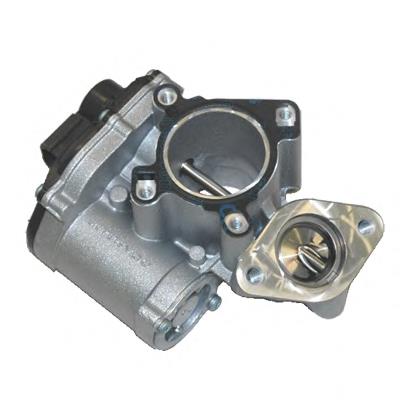 Válvula EGR de recirculação dos gases ERA 555201