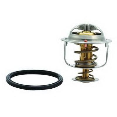 Termostato 4188498 Ford