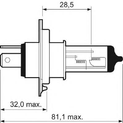 262948990D Nissan/Infiniti Lâmpada halógena