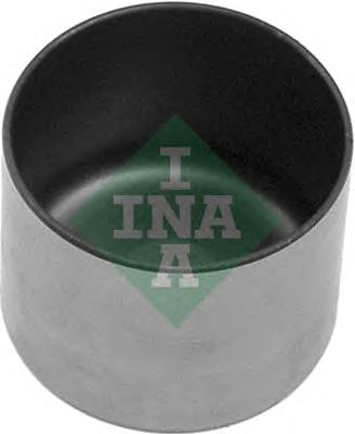421000110 INA