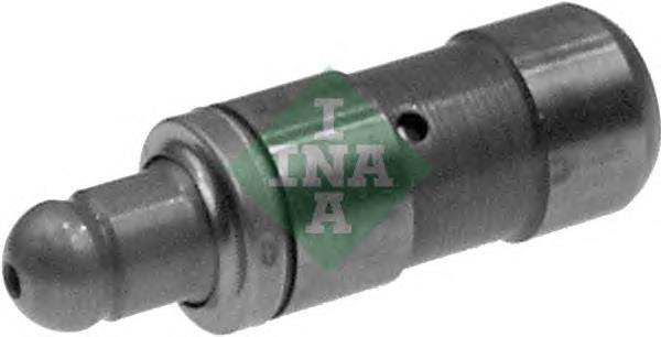 420019710 INA