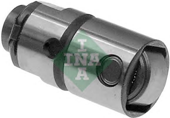 420018510 INA
