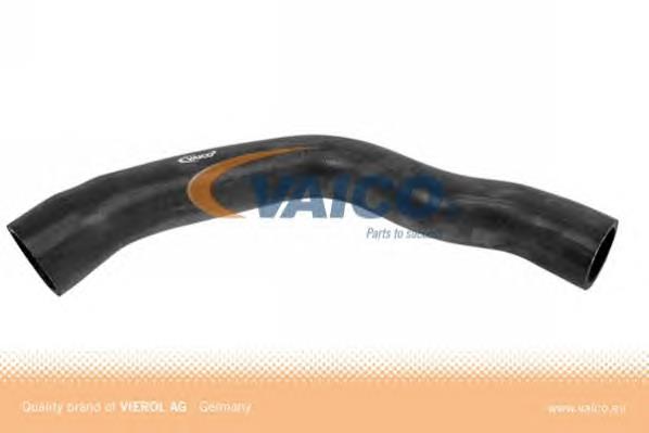 Mangueira (cano derivado) do radiador de esfriamento superior A2025012482 Mercedes