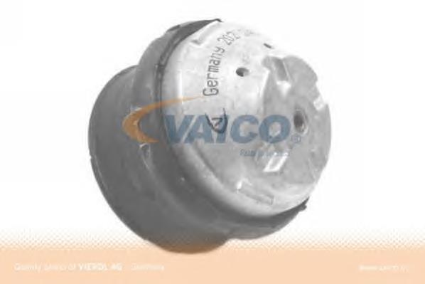  Cautex 180195