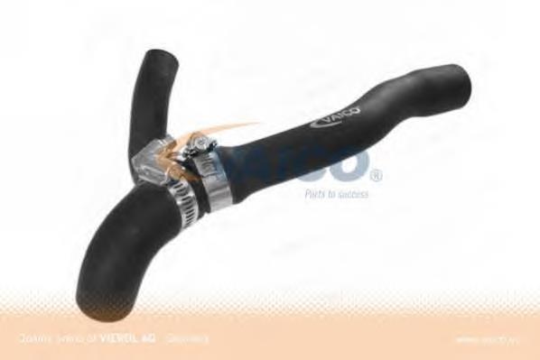Mangueira (cano derivado) de bomba de água de admissão Cautex 016001