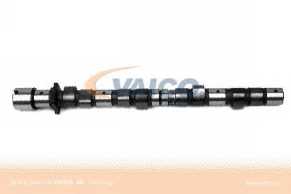 Compre T8061 Motive Árvore distribuidora de motor
