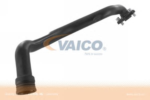 1008540 Ford Cano derivado de ventilação de cárter (de separador de óleo)