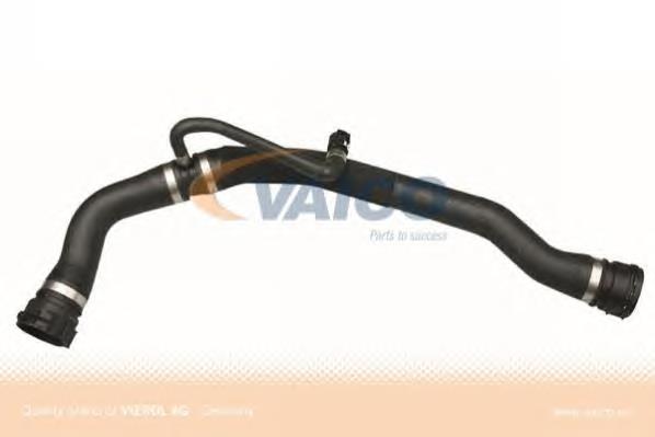 17127787448 BMW Mangueira (cano derivado) do radiador de esfriamento superior