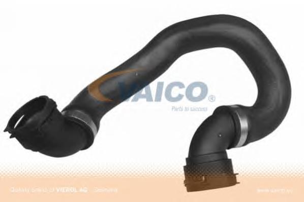 17127564480 BMW Mangueira (cano derivado) inferior do radiador de esfriamento