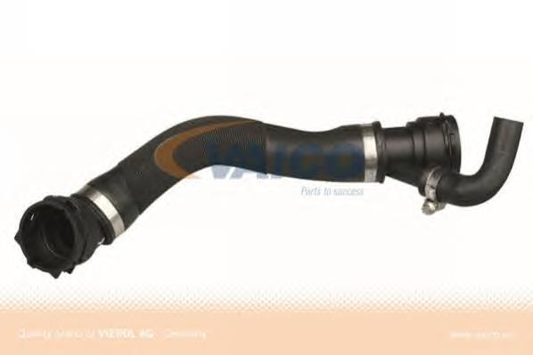 17127795262 BMW Mangueira (cano derivado) inferior do radiador de esfriamento