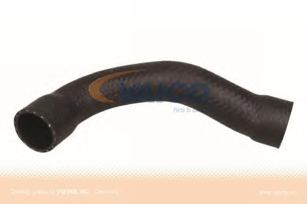 Compre 11531720720 BMW Mangueira (cano derivado) do radiador de esfriamento superior