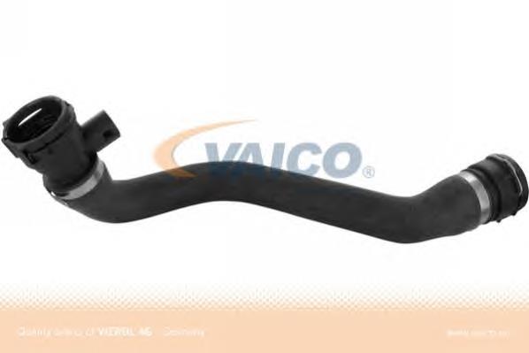 Mangueira (cano derivado) inferior do radiador de esfriamento 0819124 Trucktec