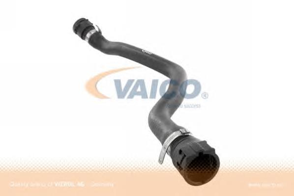 Mangueira (cano derivado) inferior do radiador de esfriamento Cautex 752713 preço, a partir de 24,22 USD