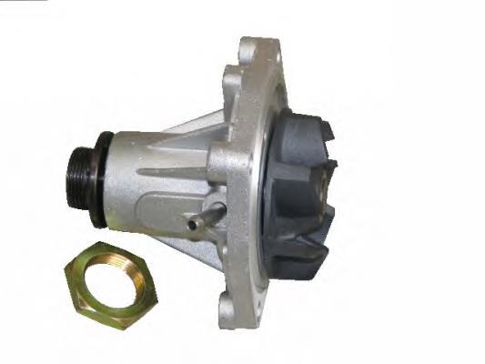  Hepu P031