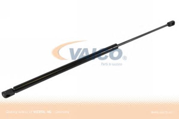 Amortecedor de tampa de porta-malas (de 3ª/5ª porta traseira) Renault (RVI) 7700434465