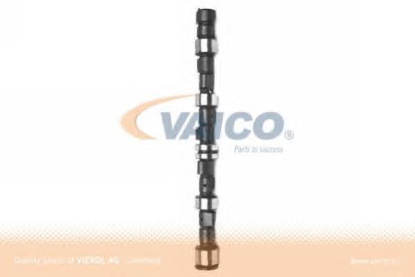 Compre 50006296 Kolbenschmidt Árvore distribuidora de motor de escape