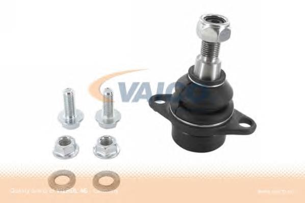  Reinhoch RH035015