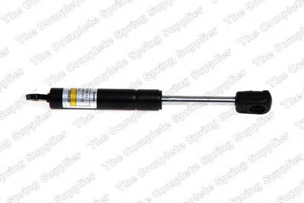 Amortecedor de tampa de porta-malas (de 3ª/5ª porta traseira) 7700838487 Renault (RVI)