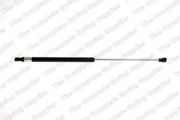 Amortecedor de tampa de porta-malas (de 3ª/5ª porta traseira) 8200025317 Renault (RVI)