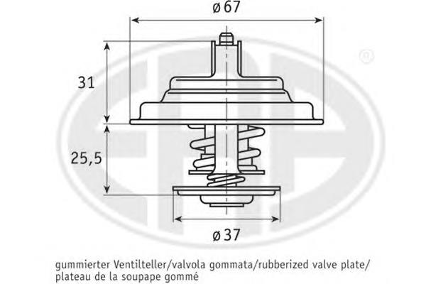 69121113 VAG Termostato