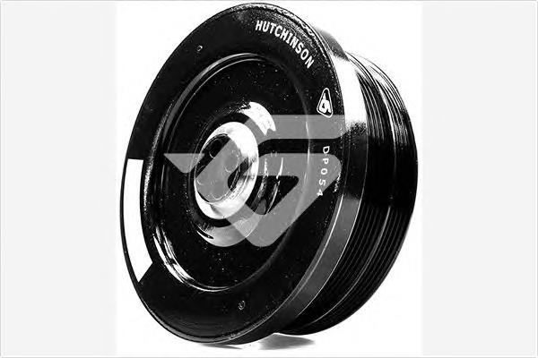 DP054 Hutchinson Polia de cambota