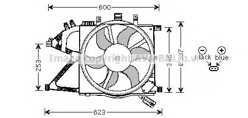 OL7520 AVA