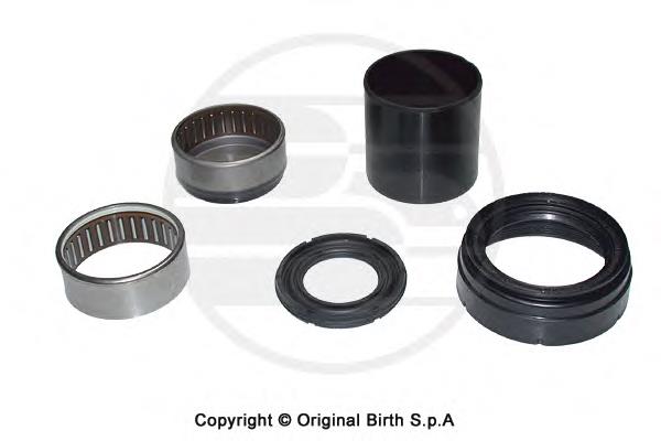 513164 Peugeot/Citroen Rolamento de fixação de braço oscilante traseiro (de suspensão traseira)