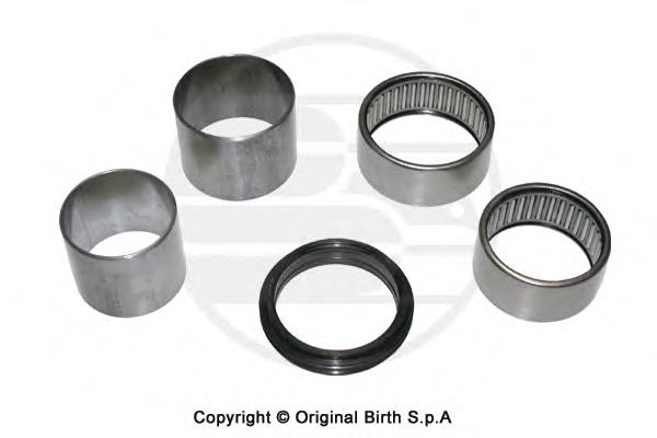 Bloco silencioso de viga traseira (de plataforma veicular) 7701464320 Renault (RVI)