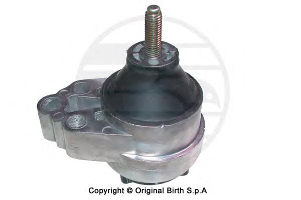 080225 Cautex Coxim (suporte) direito de motor