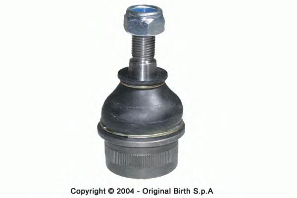 CX0019 Birth Suporte de esfera superior