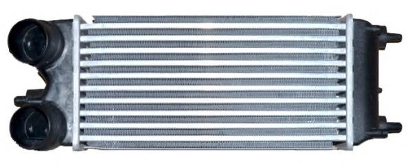 Radiador de intercooler CNGFR028 NTY