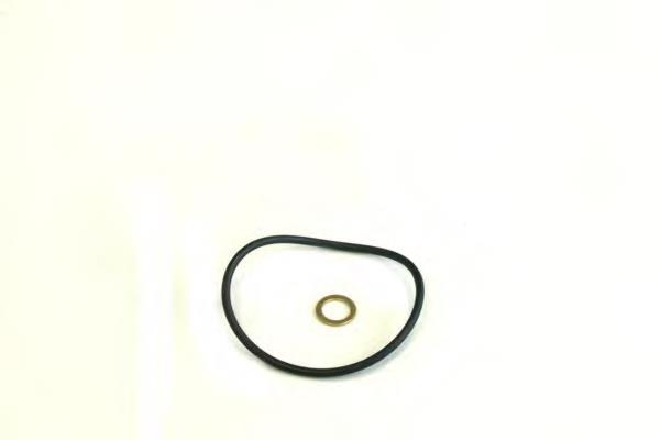 Filtro de óleo Open Parts EOF405210